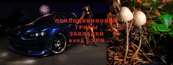 спайс Арсеньев