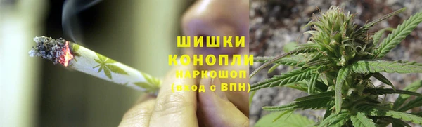 спайс Арсеньев