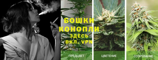 молекула духа Аркадак