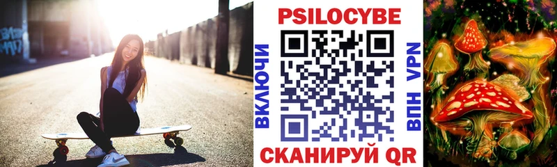 Псилоцибиновые грибы Psilocybe Свободный